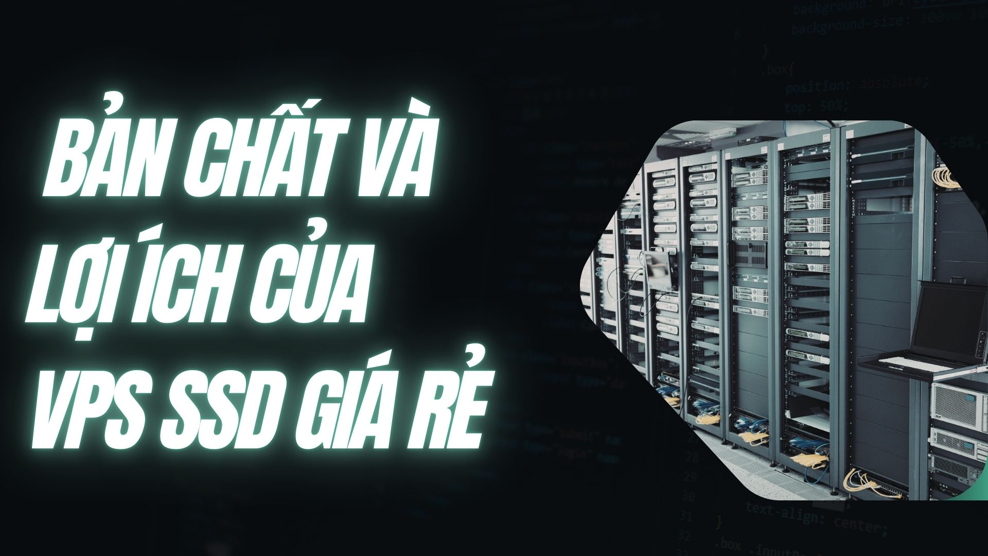 VPS SSD Giá Rẻ - Giải Pháp Lưu Trữ Hiệu Quả Với Chi Phí Hợp Lý số 1 Tại Việt Nam 11 vps ssd gia re tao viet nam 2